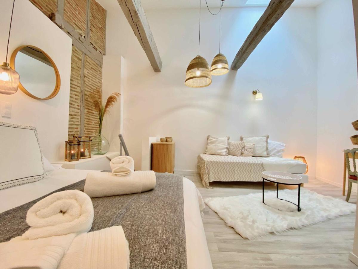 La Parenthese Occitane Apartment Кастр Екстериор снимка