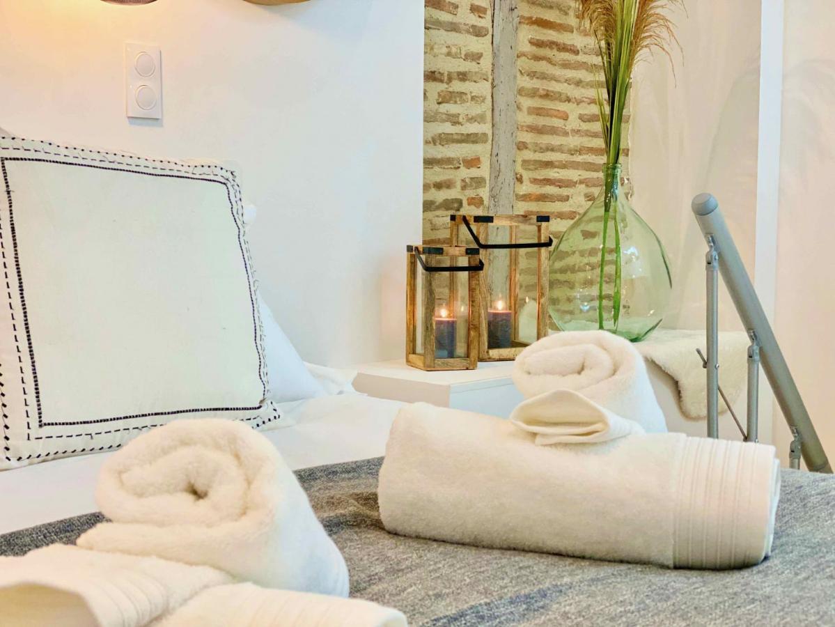 La Parenthese Occitane Apartment Кастр Екстериор снимка
